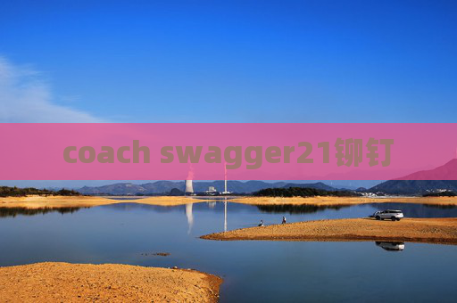 coach swagger21铆钉
